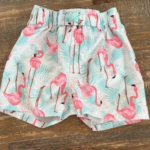 Rugged Butt Swimsuit Flamingo Print